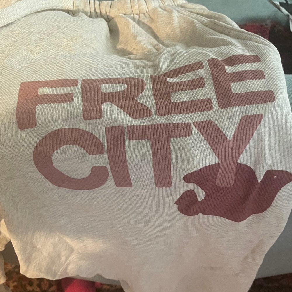 Free City sweat pants